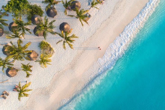 aerial-view-of-umbrellas-palms-on-the-sandy-beach-of-indian-ocean-at-sunset-summer-holiday-in 540x360